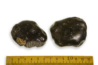 F 00865
<br/>
Fosfaatknol, uit de voormalige collectie van Henckelius
<br/>
<em></em>